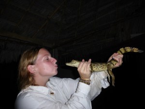 Mein erster gefangener Kaiman