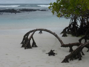 Zwischendurch mal schwimmen