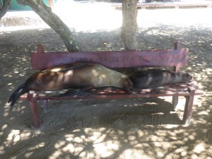 "Die Bank gehört uns"