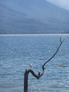 Wunderschöner Lago de Atitlán