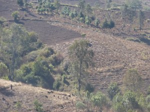 Wunderschönes Guatemala