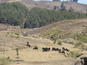 Wunderschönes Guatemala