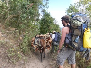 Einmal Platz machen, bitte!