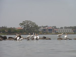 Lake Tana