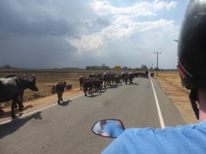 Scootering around the East Coast